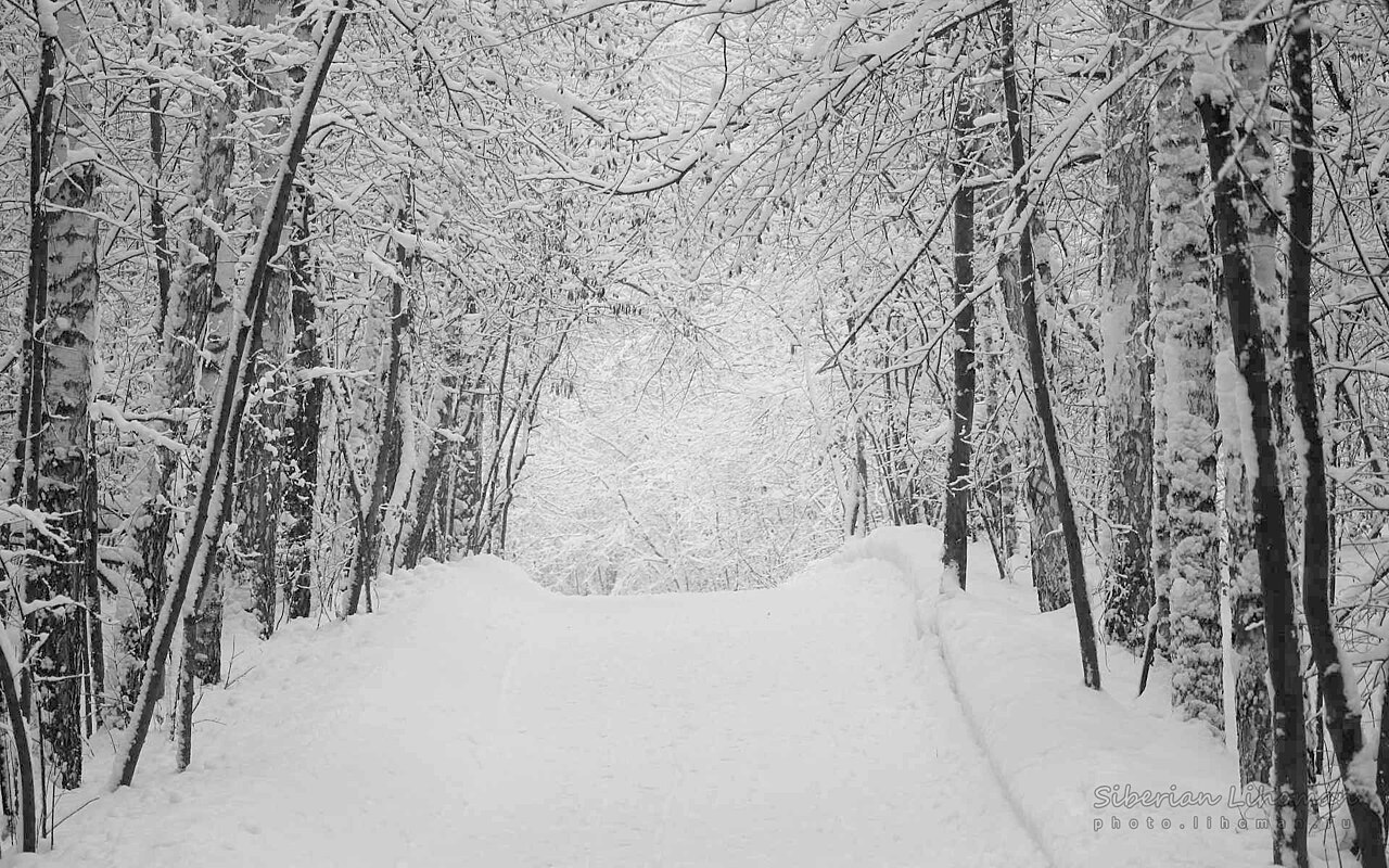 pre winter tech checklist for your gravenhurst cottage 2 - photo from Wikimedia Commons
