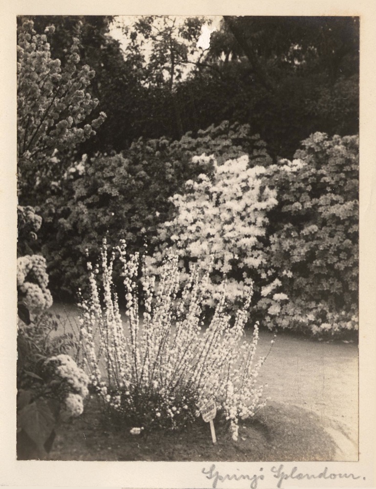 opening your gravenhurst cottage this spring tech checklist inside 2 - photo from Wikimedia Commons