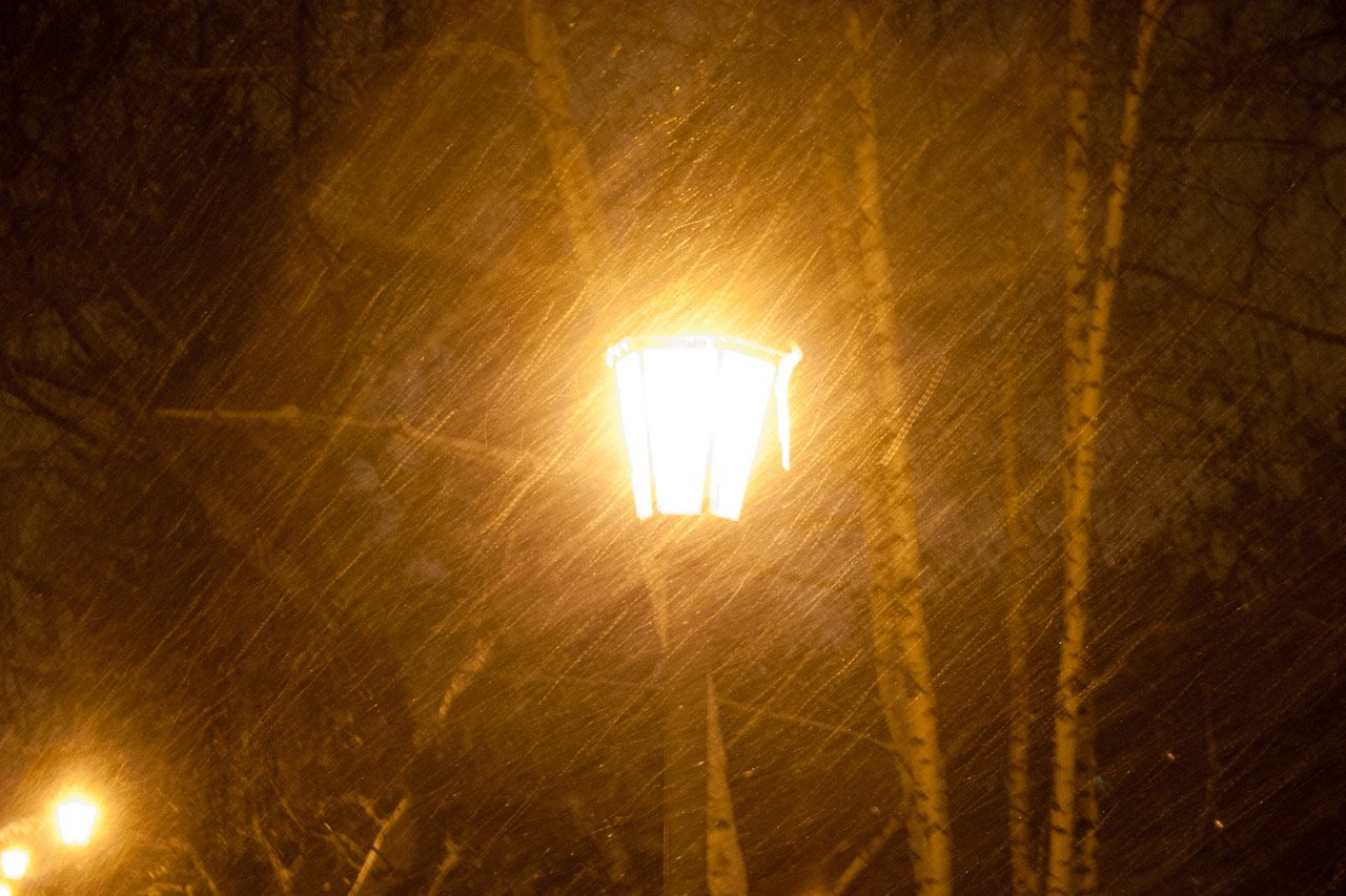 automated lighting at your huntsville cottage a practical guide 2 - photo