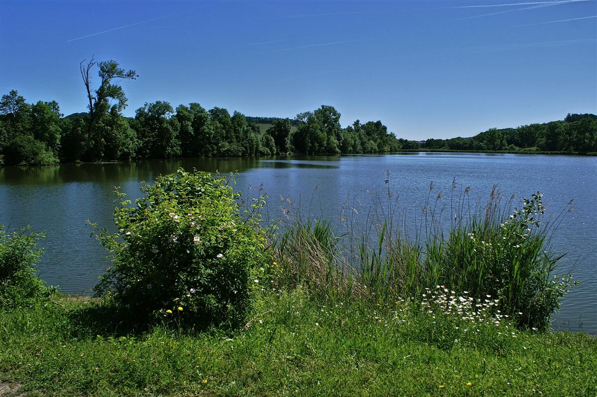 outdoor audio at your huntsville cottage built for canadian weather 2 - photo