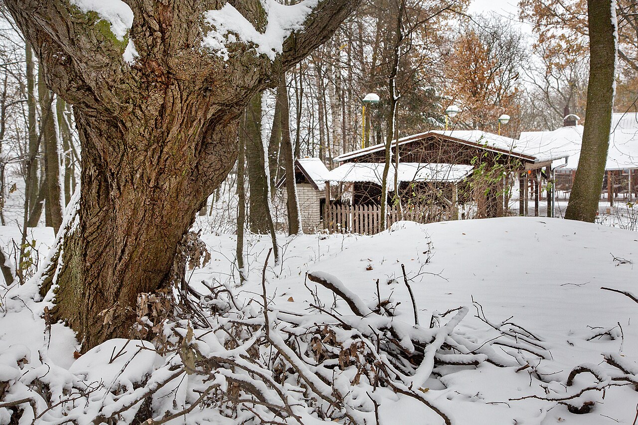 whole property wi fi for gravenhurst cottages - photo